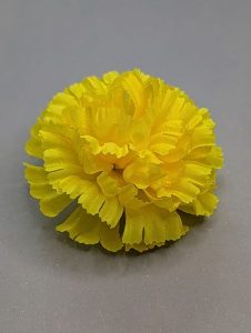Г104 Голова гвоздики