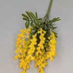 92d7ea5b-b490-43ca-87d5-7409996b1bb0