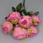 97e563f1-be42-40a3-b77c-70a7cd28b519