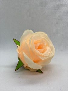 WhatsApp-Image-2023-09-18-at-12.19.44-1