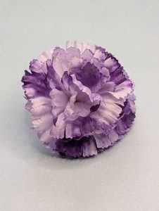 Г104 Голова гвоздики