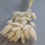 Букет Лагуруса натуральный