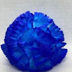 Г105 Голова гвоздики d-11,5см