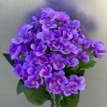 Б2186 Букет фиалок 18в.