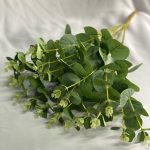 Б4830 Букет эвкалипта 16в.