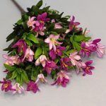 Б152 Букет горной лилии 10 веток.