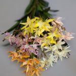 В310 Ветка лилии.