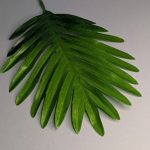 Л555 Лист пальмы светлый.