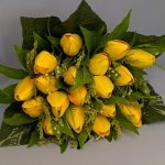 WhatsApp Image 2025-09-11 at 10.47.21