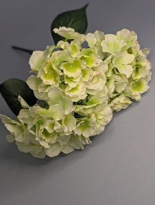 Б085 Букет гортензии 5в