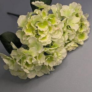 Б085 Букет гортензии 5в