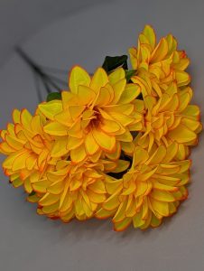 WhatsApp Image 2025-09-11 at 18.08.32