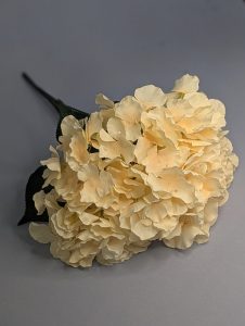 WhatsApp Image 2025-09-29 at 22.06.36