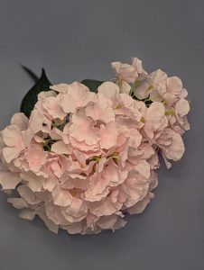 WhatsApp Image 2025-09-29 at 22.06.45