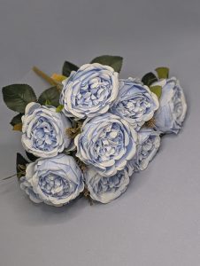 WhatsApp Image 2025-09-29 at 22.26.11