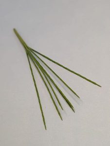 П1934 Подбукетник 7г.