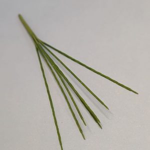 П1934 Подбукетник 7г.