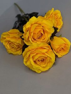 WhatsApp Image 2025-11-11 at 11.09.31