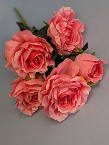 WhatsApp Image 2025-11-11 at 11.23.35