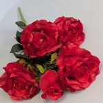 WhatsApp Image 2025-11-11 at 11.25.29