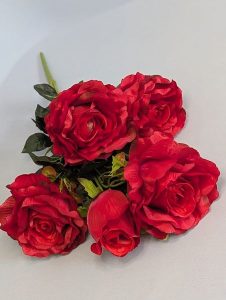 WhatsApp Image 2025-11-11 at 11.25.29