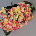 WhatsApp Image 2025-11-17 at 09.27.58 (2)