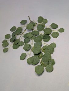 В2894 Ветка эвкалипта 16в.