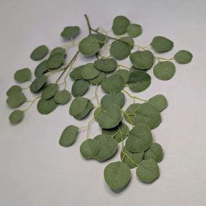 В2894 Ветка эвкалипта 16в.