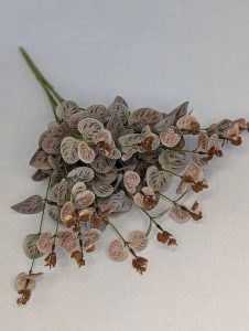 Б1662 Букет эвкалипта 16в.