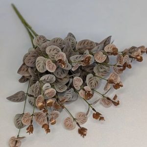 Б1662 Букет эвкалипта 16в.