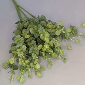 Б2880 Букет эвкалипта 15в.