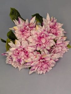 1e954e9b-2036-4c71-93f1-88b1904758d4