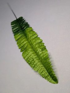 В1881 Папоротник лесной h-45см