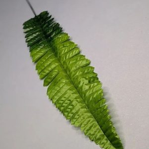 В1881 Папоротник лесной h-45см