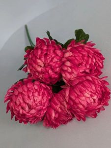 IMG_20260215_124117