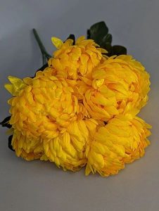 IMG_20260215_124124