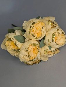 IMG_20260215_142032