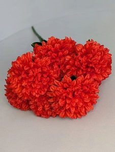 IMG_20260217_134237