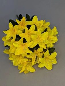 IMG_20260219_173548