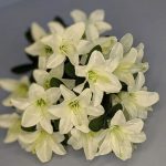 IMG_20260219_173554