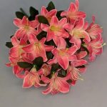 IMG_20260219_173557