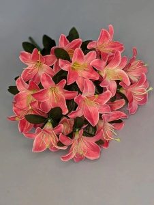 IMG_20260219_173557