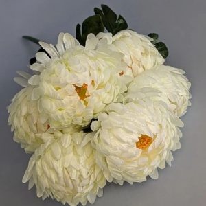 Б7888 Б.Хризантем 7г.