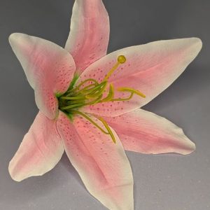 Г2633 Голова лилии d-19см.