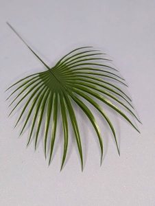 Л559 Лист пальмы "Коготь"