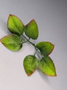 Л2904 Лист розы малый.