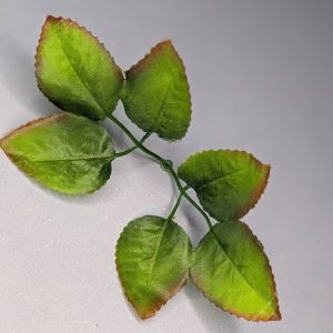 Л2904 Лист розы малый.