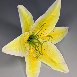 Г2633 Голова лилии d-19см.