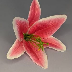 Г2633 Голова лилии d-19см.