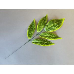 В112 Ветка манго 5 листов с кантом h-60см